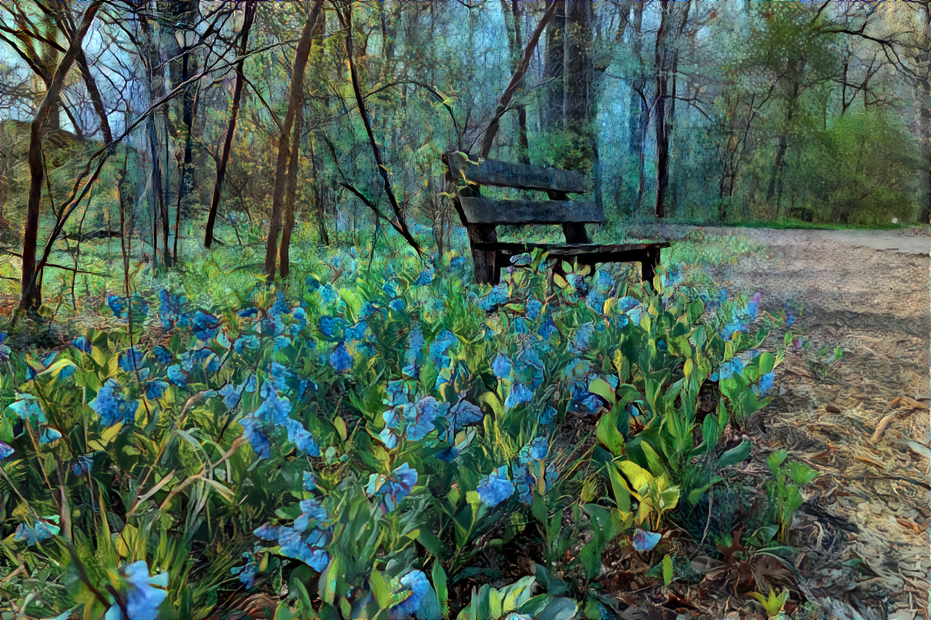 Relax Among the Bluebells