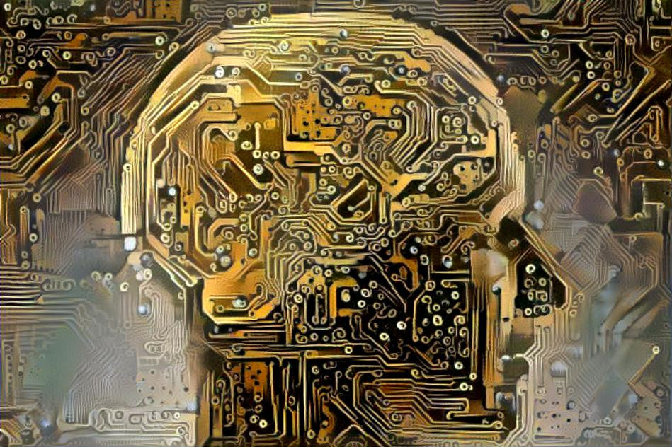 The Circuitry of the Mind