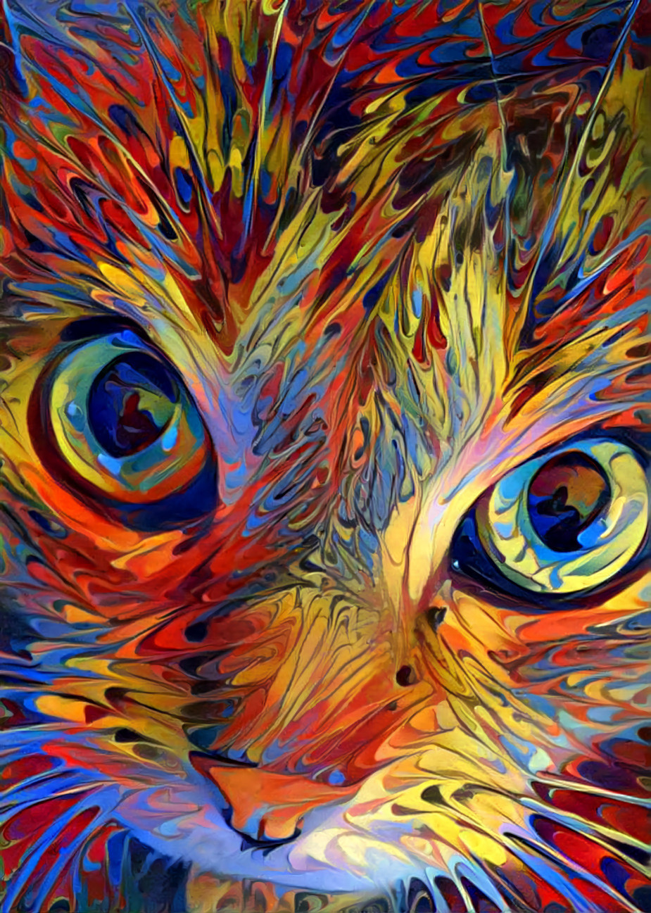 Color Cat