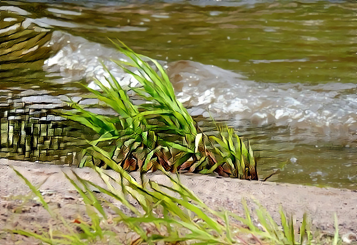 Shoreline