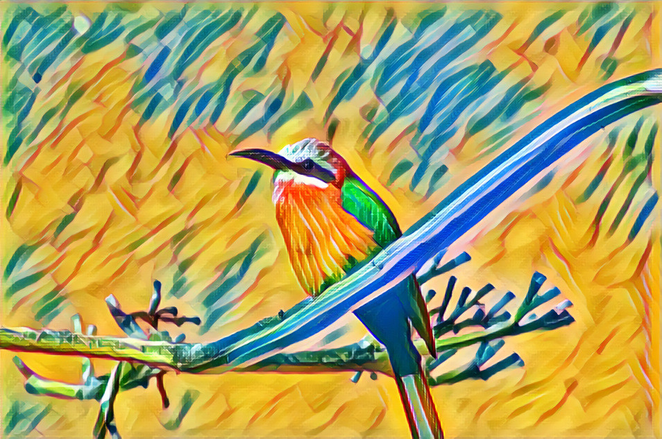 Bee-Eater