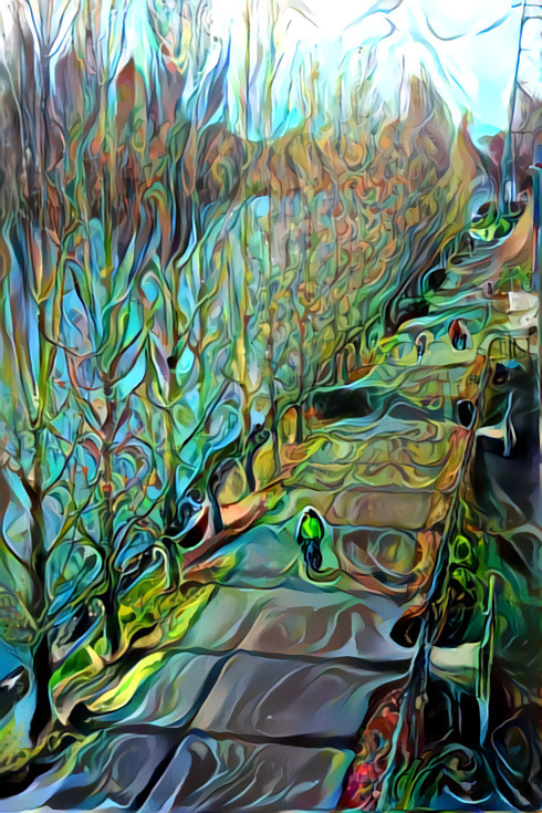 Trippy Canal Walk