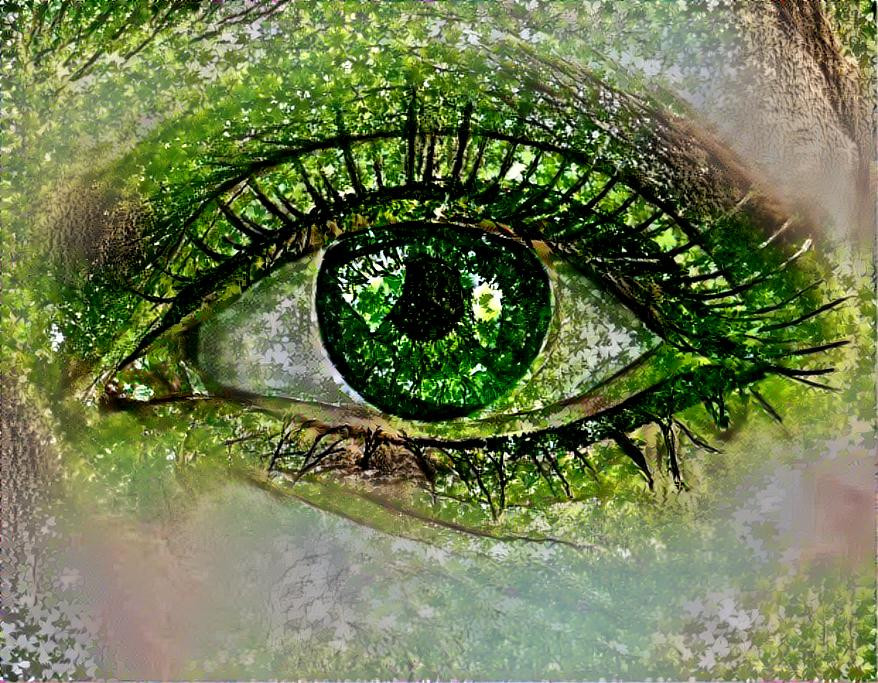 Nature's Eye