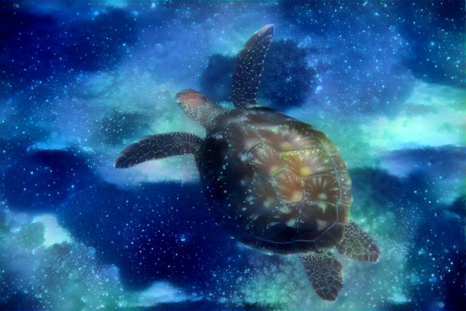 Star Turtle