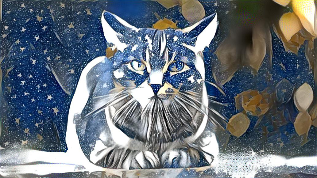 Celestial Cat