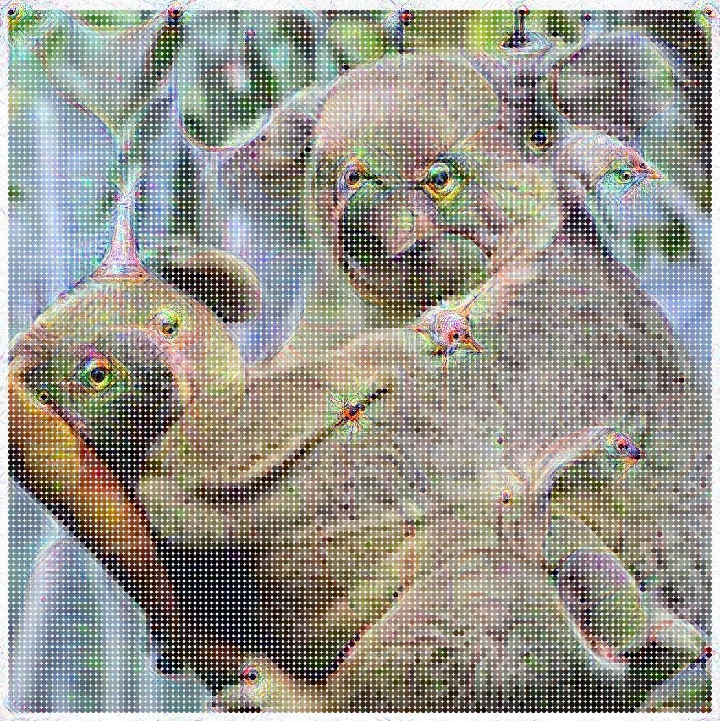 Koala dots