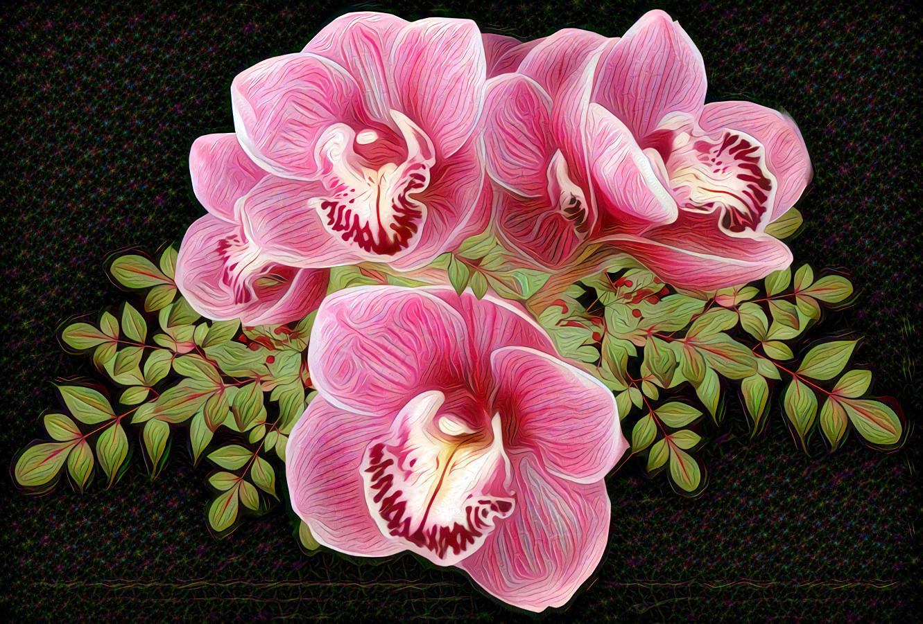 Pink Orchids