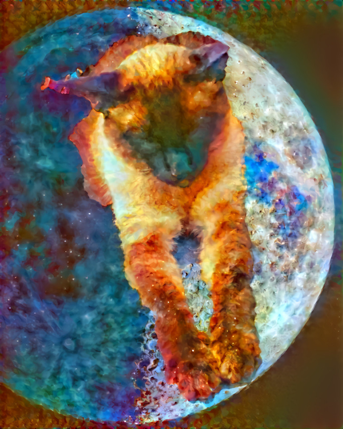 Catmoondream