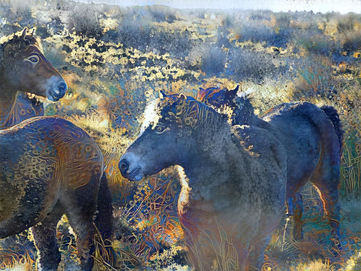 Exmoor Ponies in Morning Light