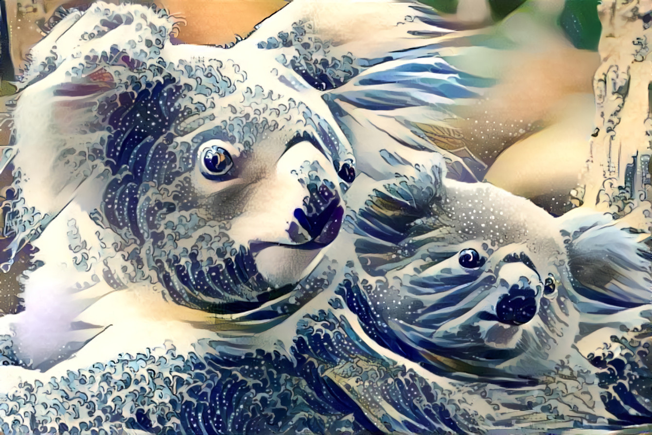 Koala Wave