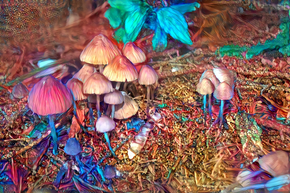 Redreaming Deep Dreamed Mushroom Le Fey