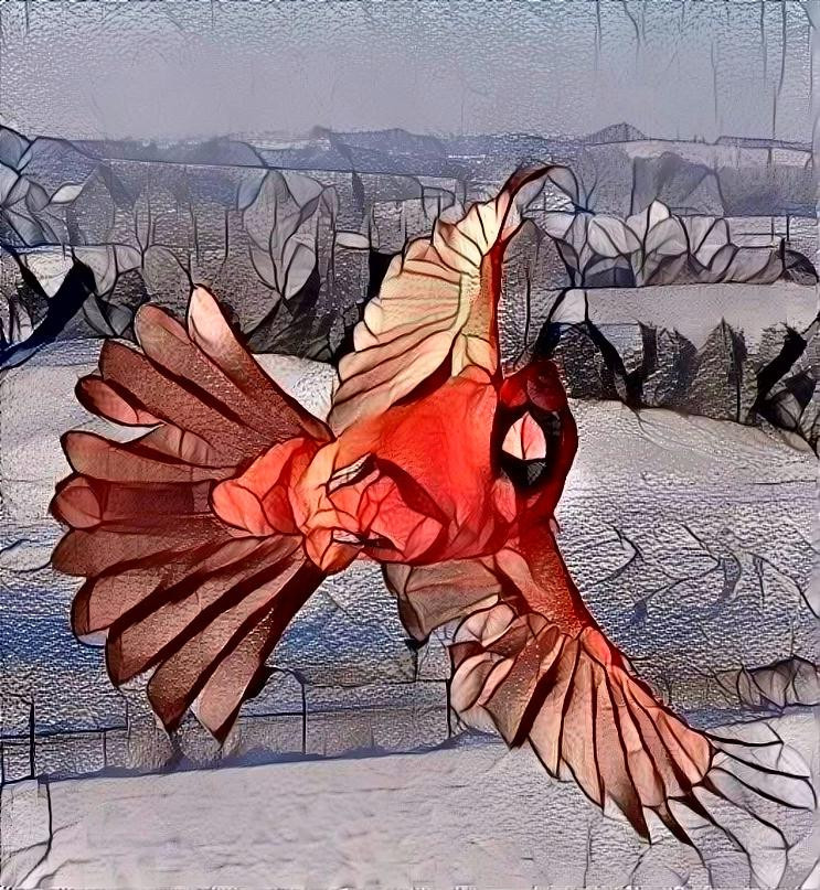 Cardinal 