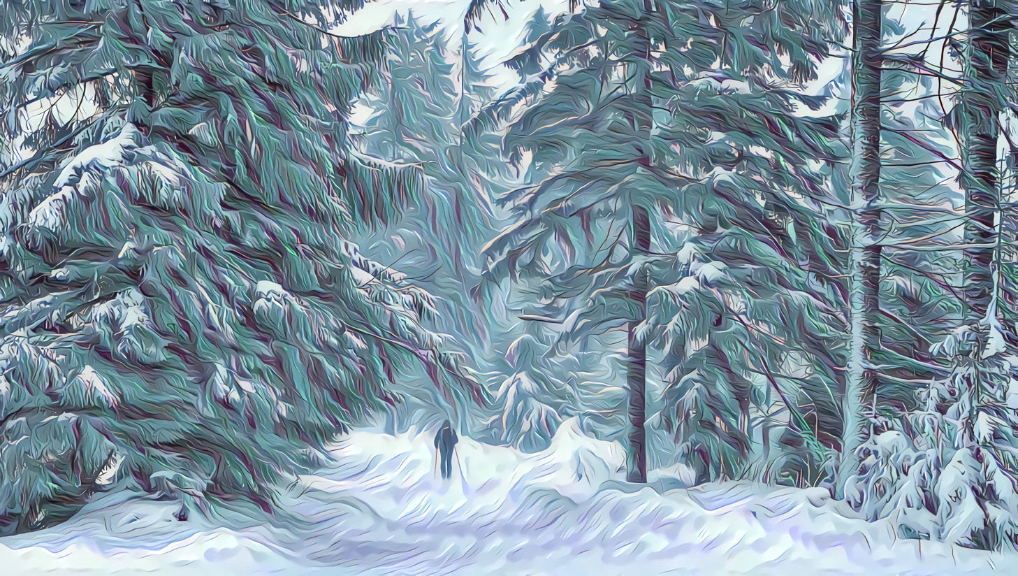 A Wintry Hike in the Forest