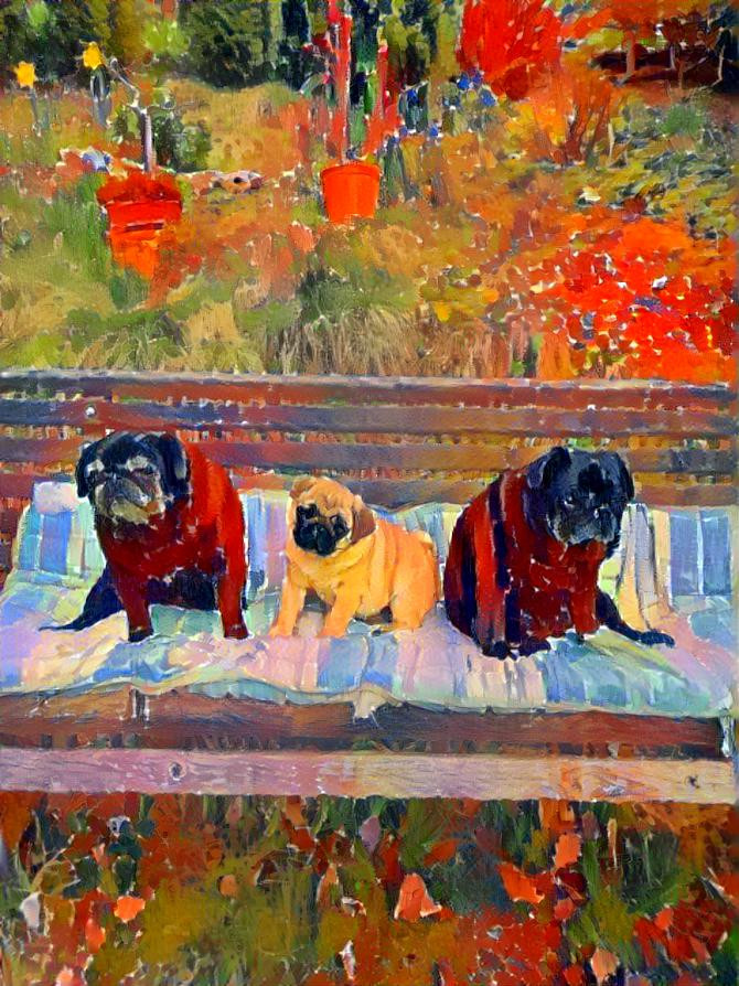 Pugs