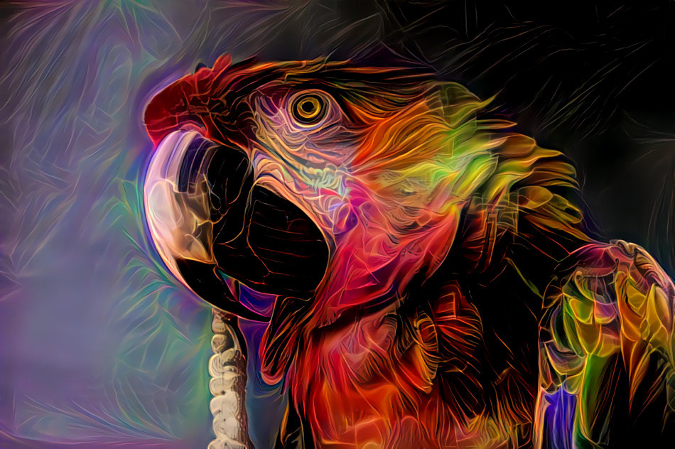 "Psy parrot" _ source: Bird Source Challenge / "Deep Dreamers" - group on Facebook _ (190717)