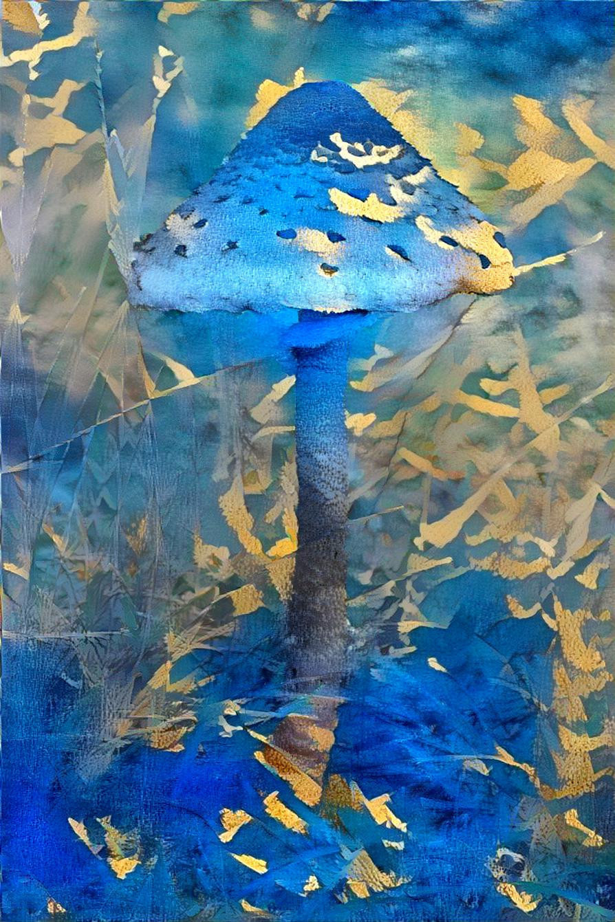 Parasol, 2