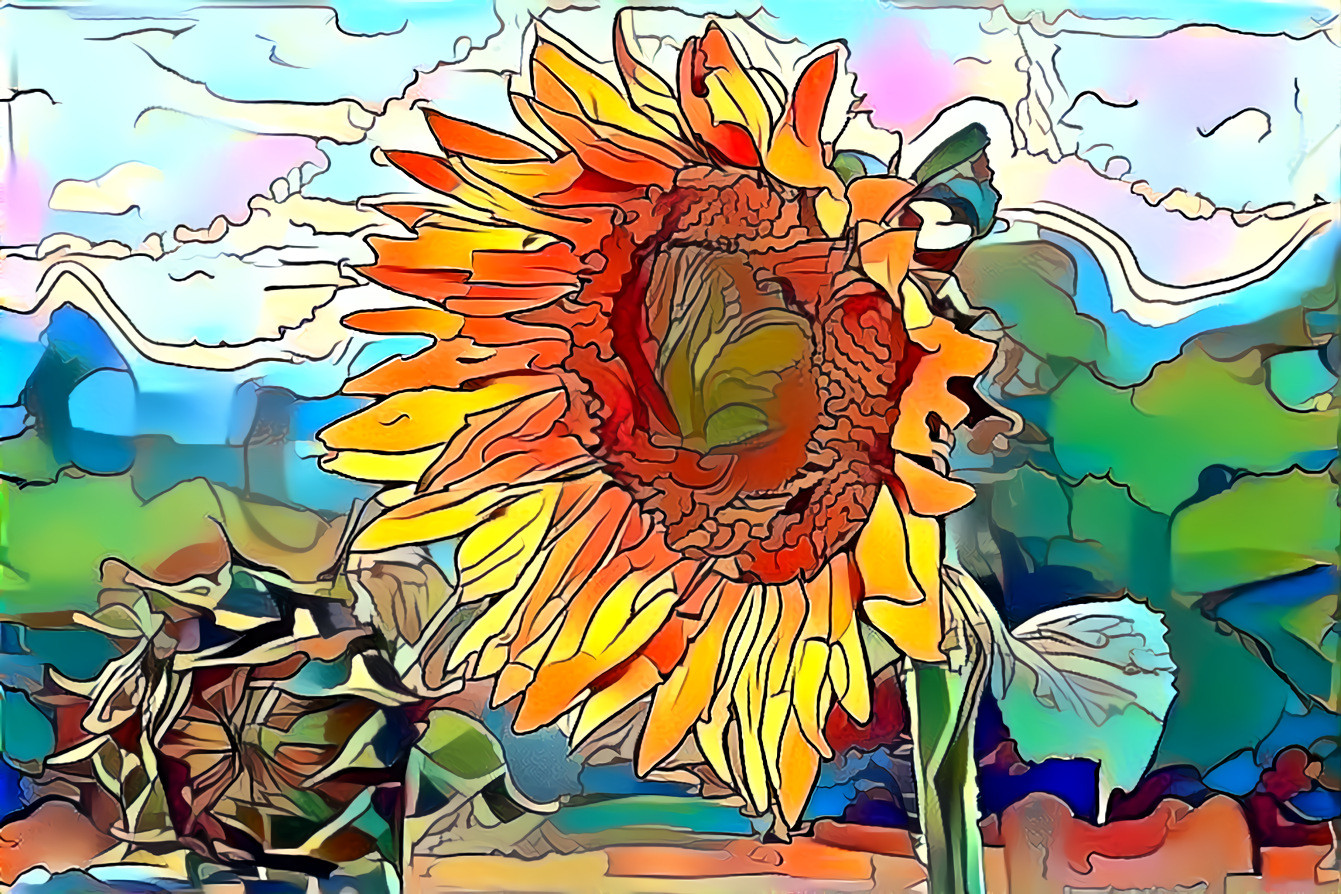 Sunflowers