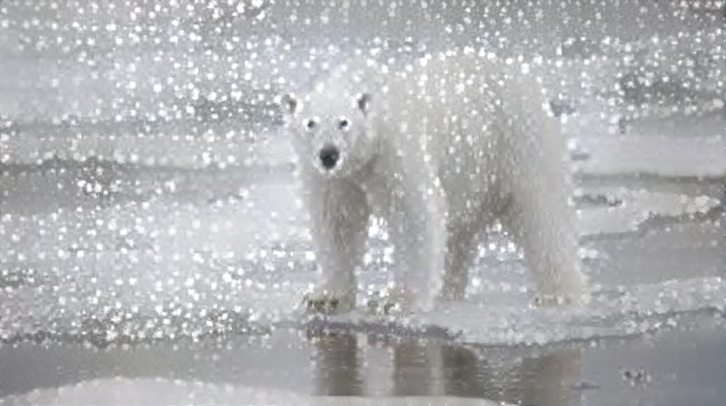 Polar