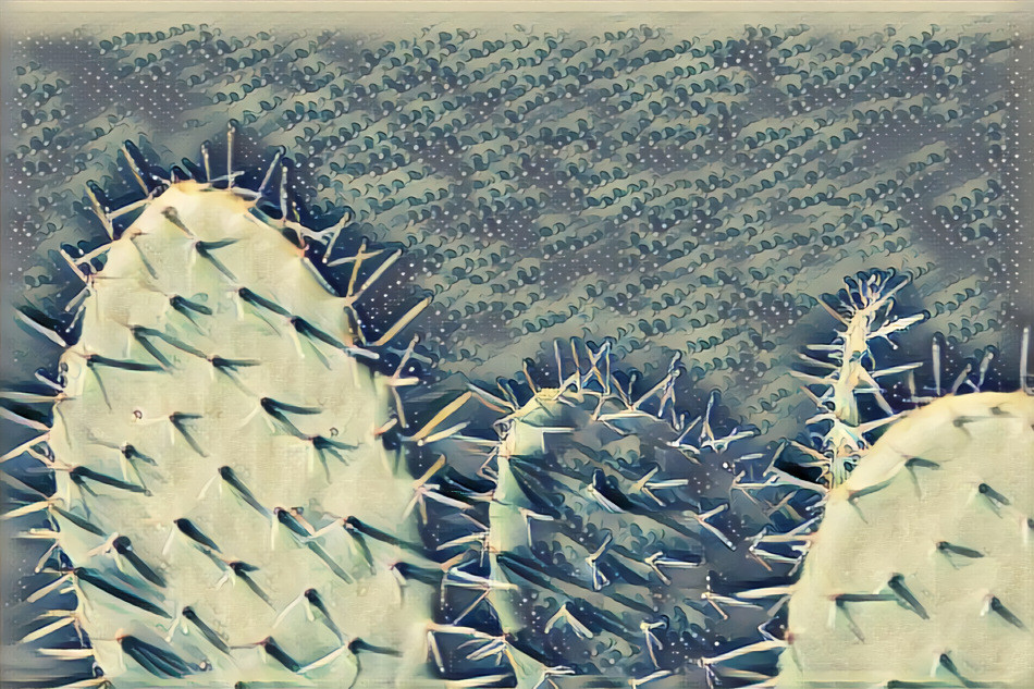 Cactus Wave