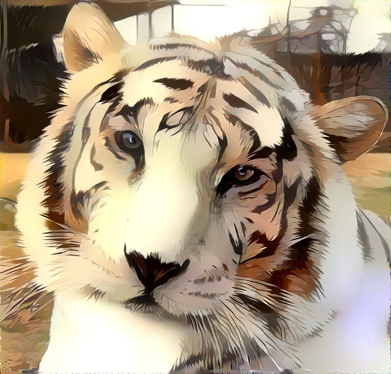 Softer eyes of White Tiger