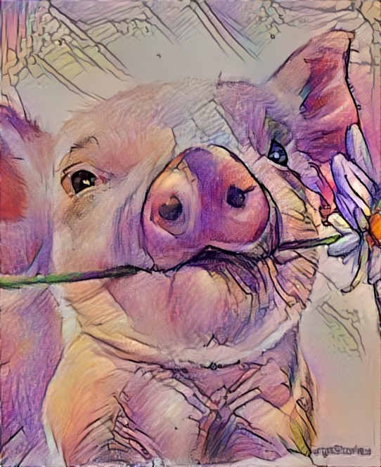 A flower from a pig to a pretty you