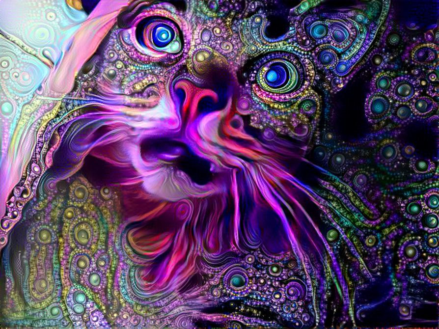 Trippycat