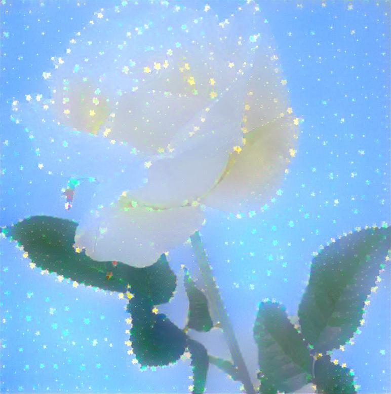 Starry Rose