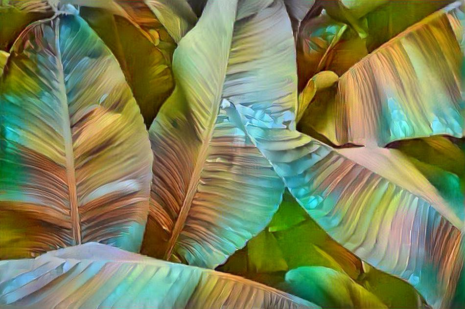 Tropical Leaves