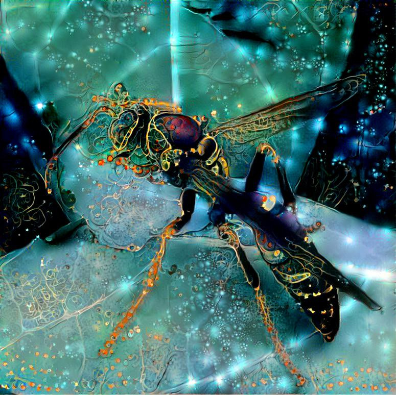 Jewelwasp