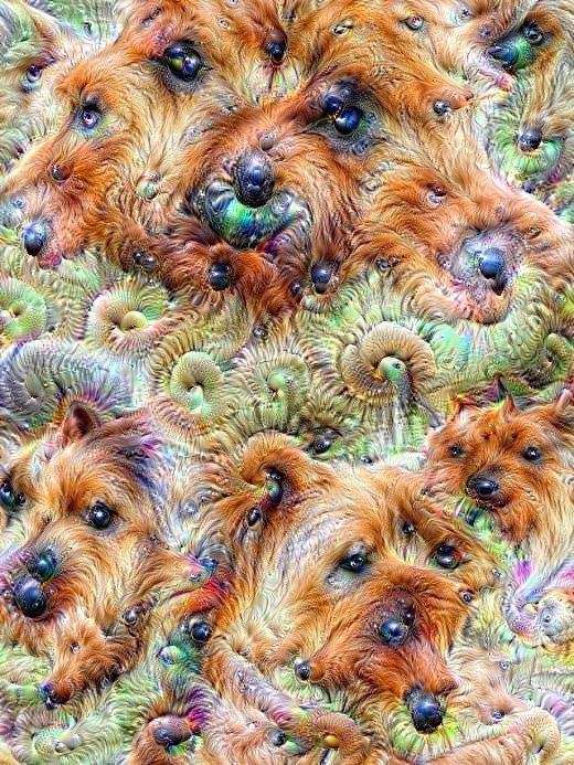 Island of mutant dogs