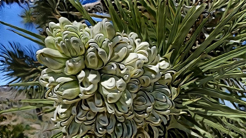 Joshua Tree Flower Engraved