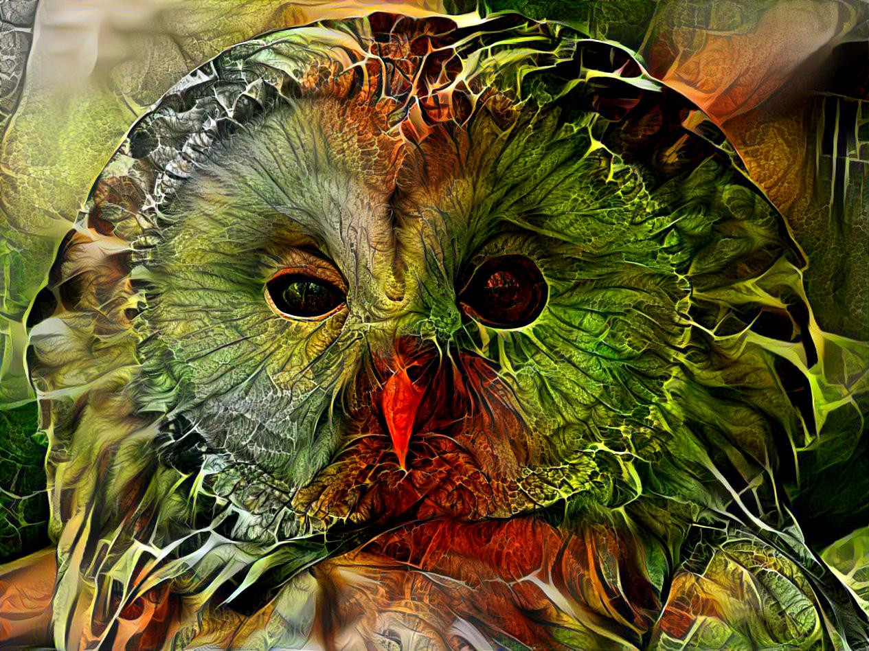 Green Owl