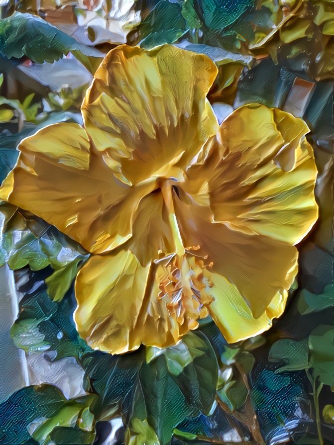 Yellow Hibiscus