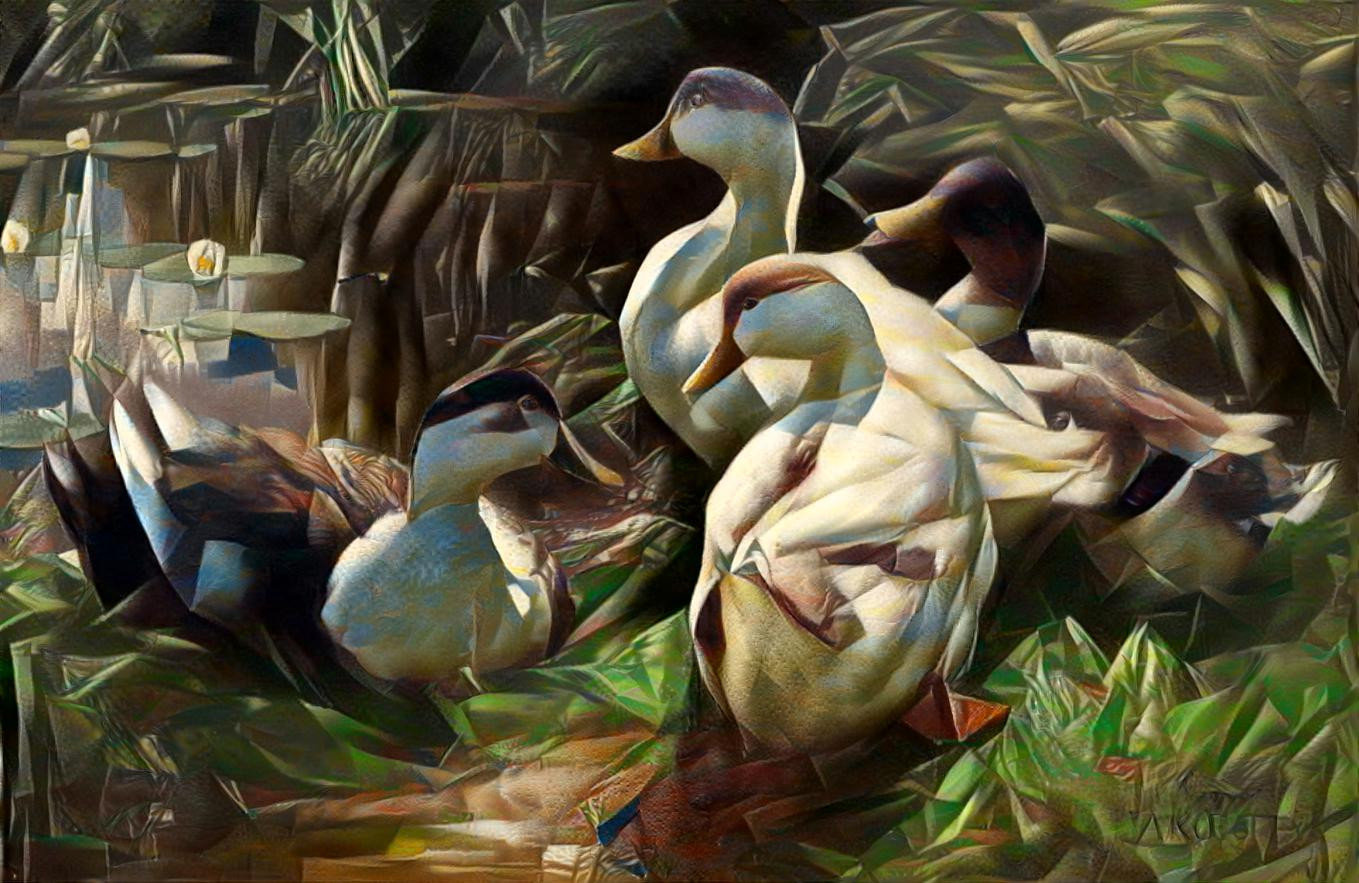 ducks