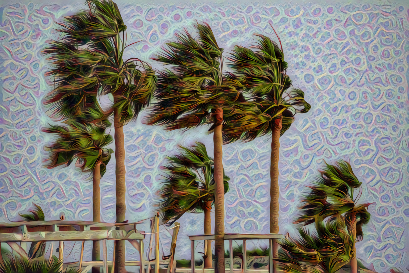 Palm Trees in the Wind