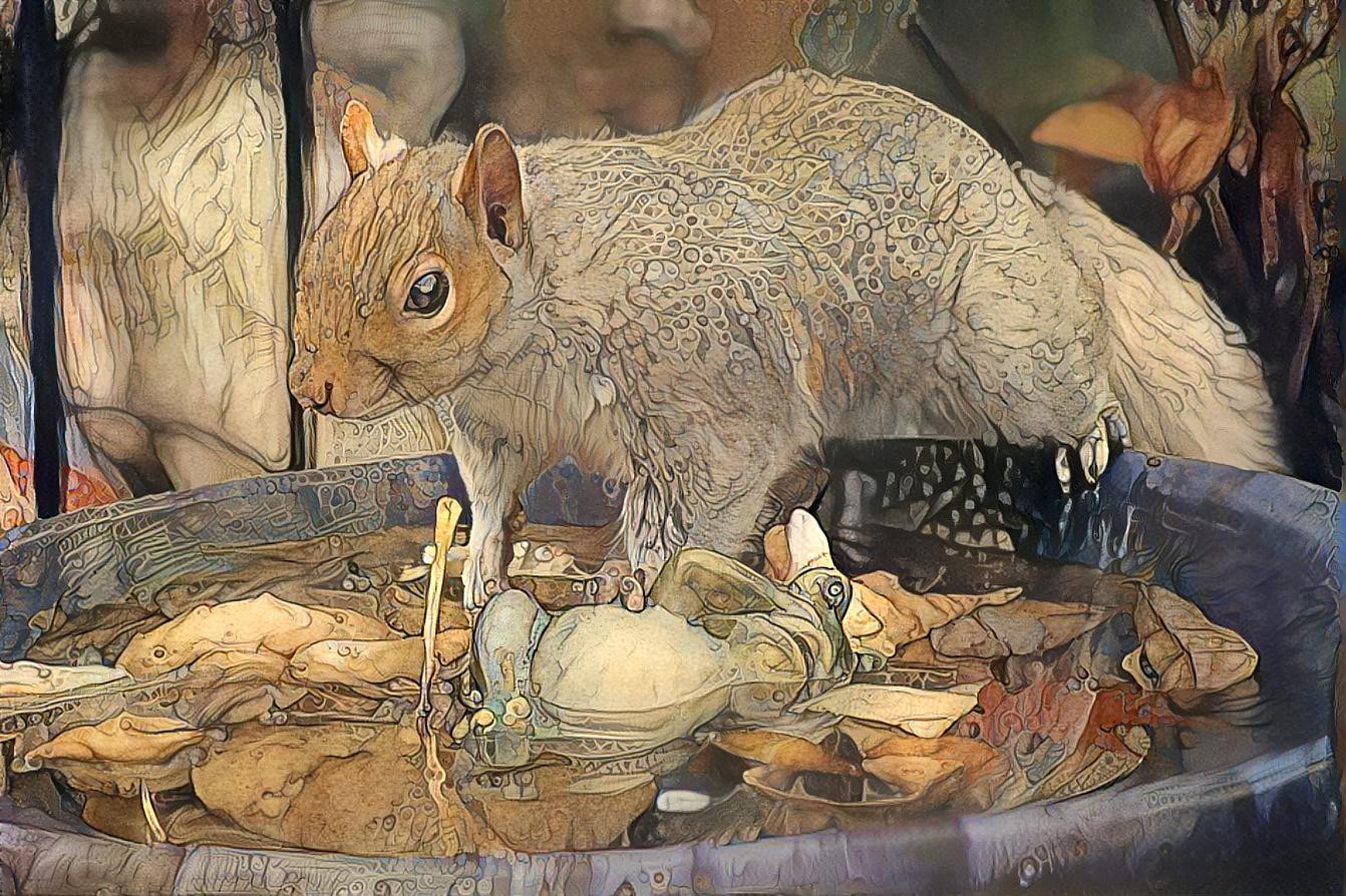 squirrel bath 1