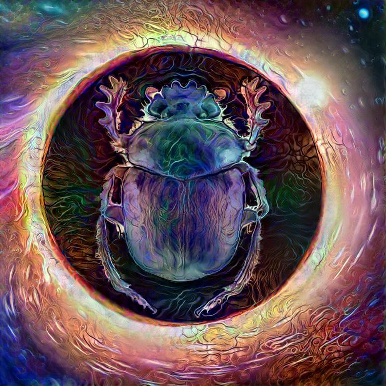 Scarab