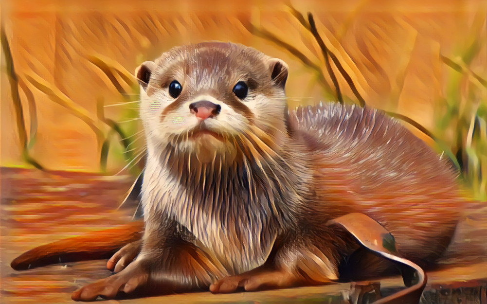 Otter <3