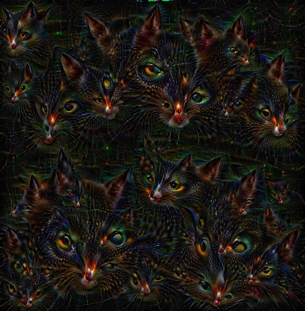 Extra deep dream using photos of our Bandit kitty & Kitty kitty. They're the ones we've lost & miss a lot.