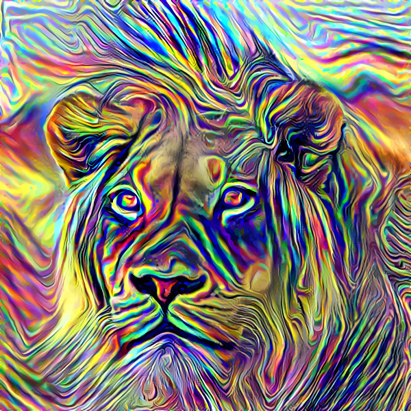 Lion (1)