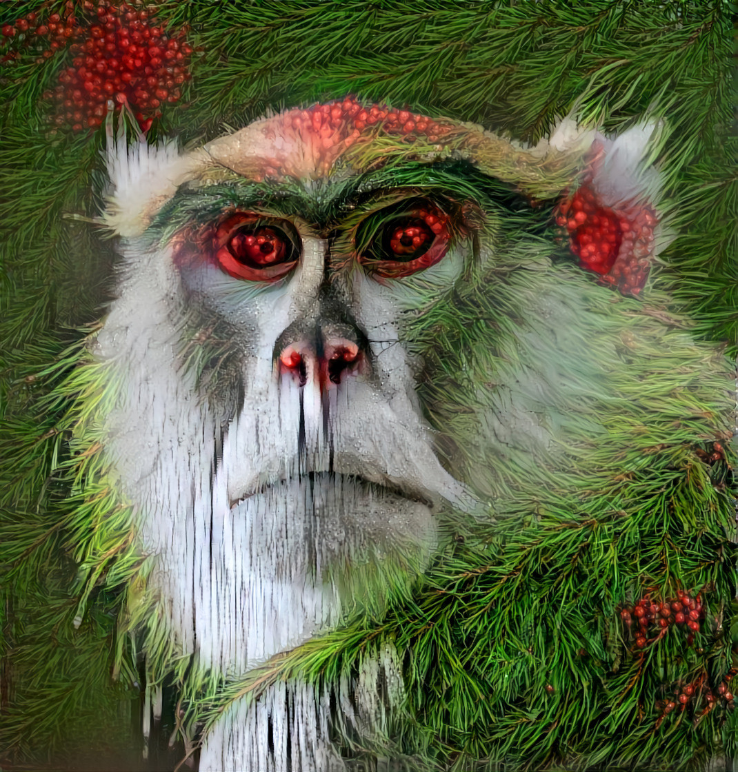 FOREST MONKEY