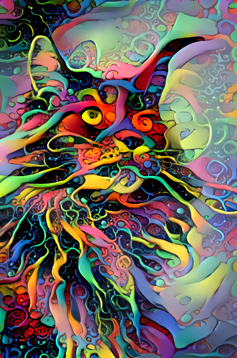 cat,  color, paint, swirls