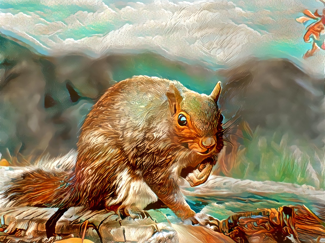 Lookin' Squirrel-ly /// OG Pic credit : Bernard Spragg https://www.flickr.com/photos/volvob12b/