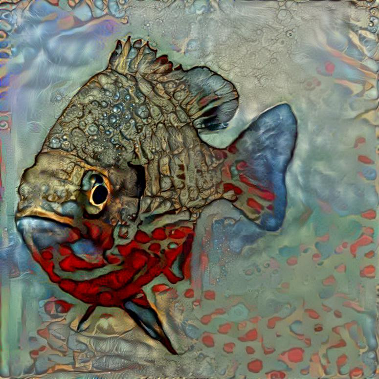 fish