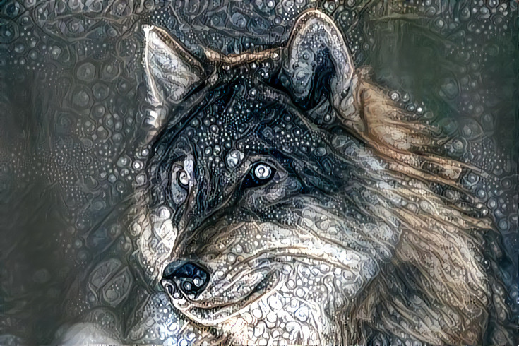 Deep Dream: Wolf