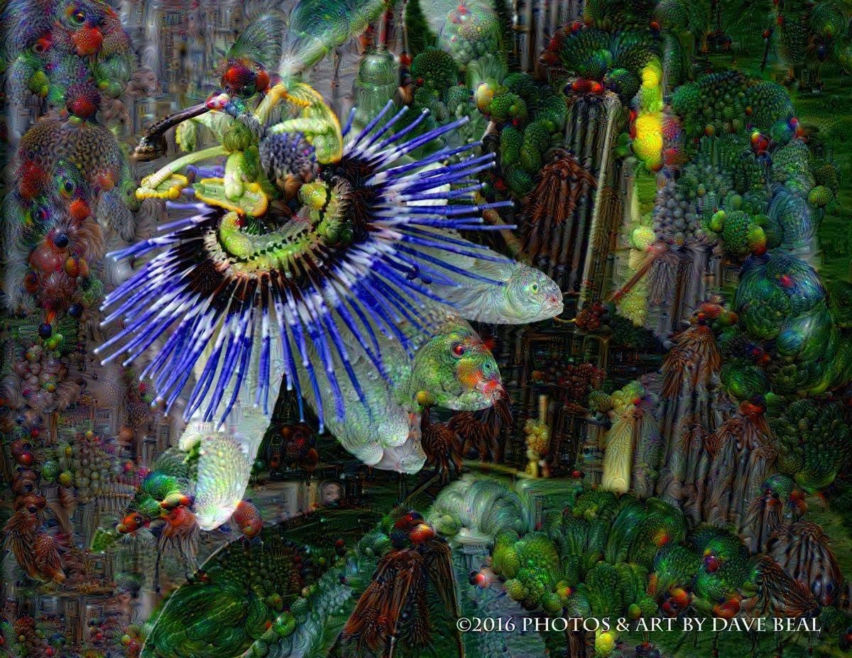 Passionflower