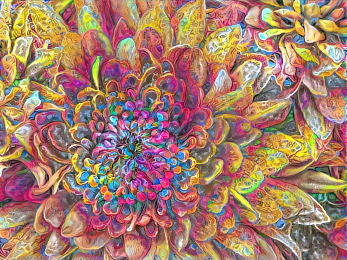 Flower of a psychedelic life