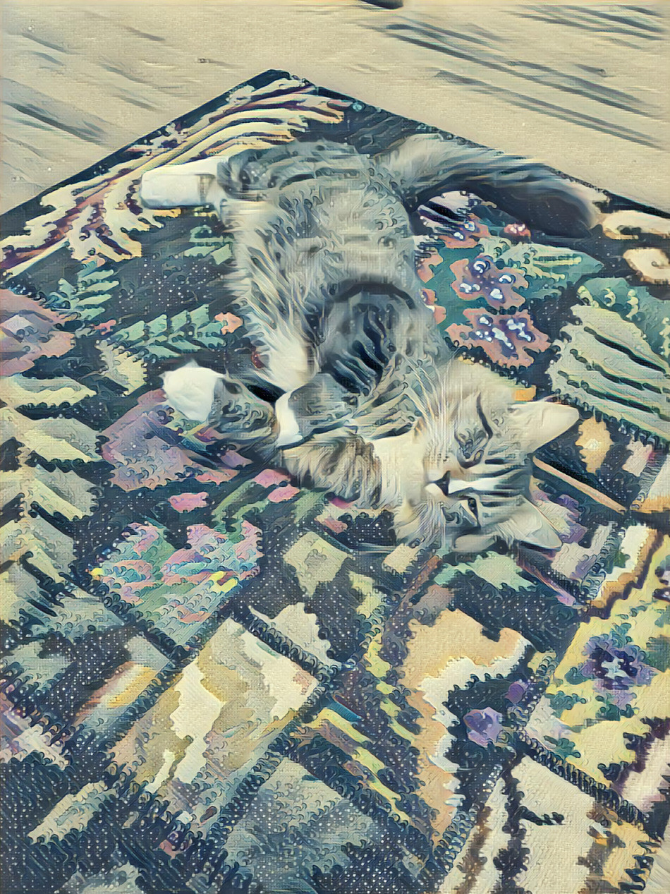 Newo on the Rug