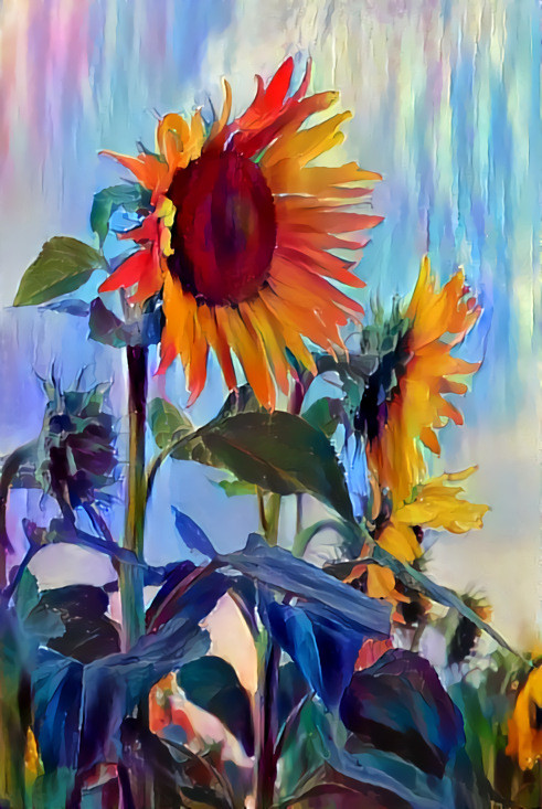 Sunflowers