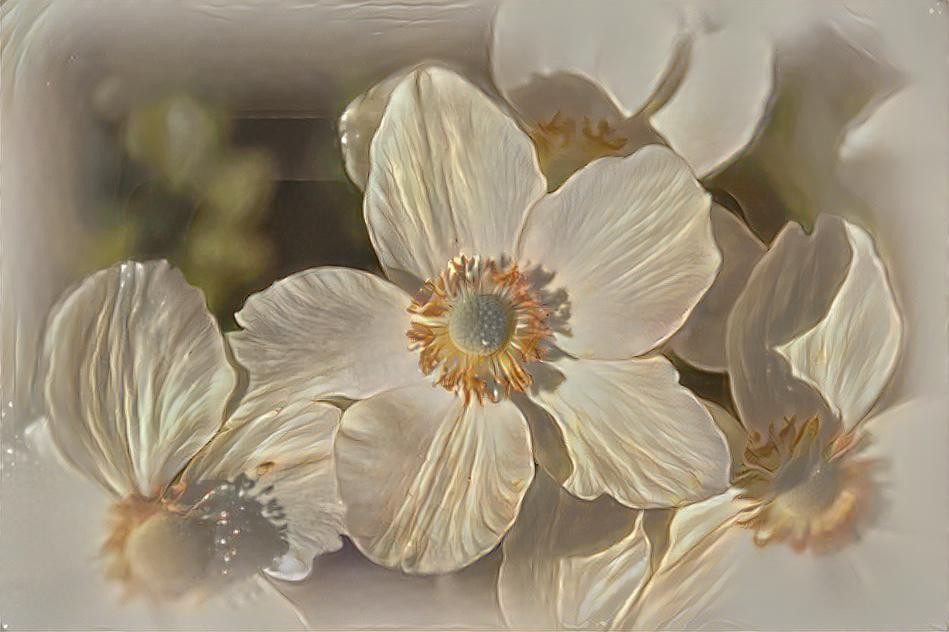 White Flowers